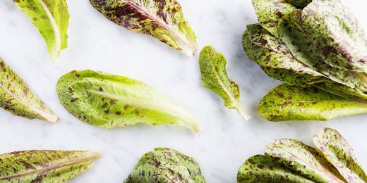 This Spring, We're Ditching Spring Mix