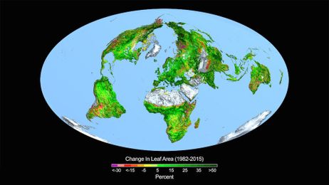 Earth Gets Greener as Globe Gets Hotter