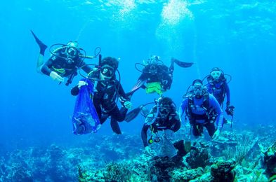 Coral ‘trees’ planted to build up Cayman’s reefs