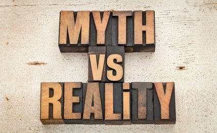 Most Common Mold Myths: Unraveling the Truth for Your Customers