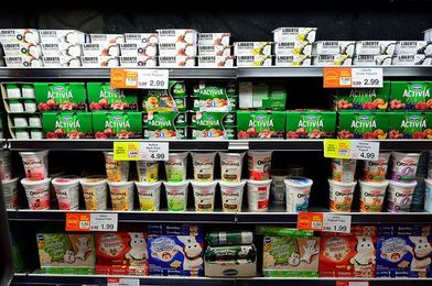 Picking the Healthiest Yogurts-Shane Diet and Resorts