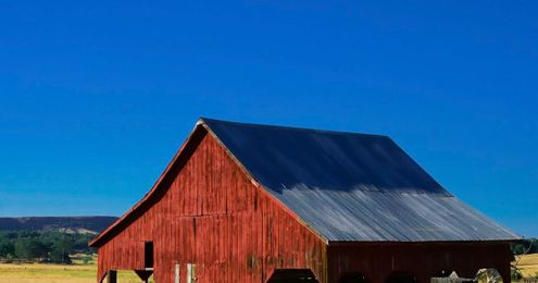 Spring Fencing: Tips & Details