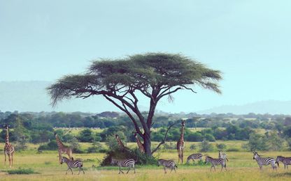 12 African Lodges That Are Saving the World