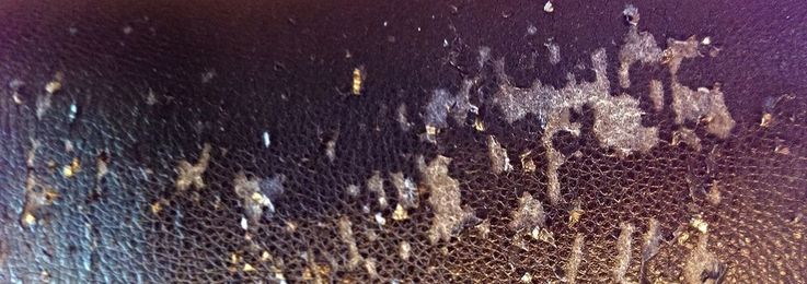 What is Bonded Leather?