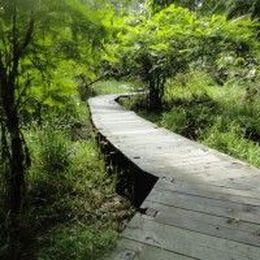 What is press-worthy scholarship?