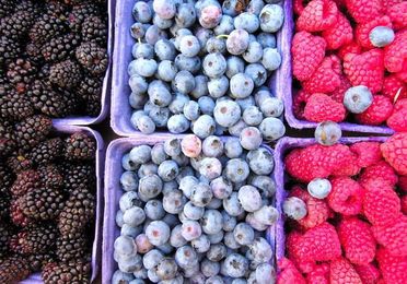 Berries Galore: Where To Pick Long Island's Juiciest Fruits