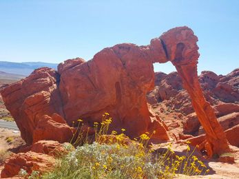 Hiking Trails in Vegas to See Desert Scenery