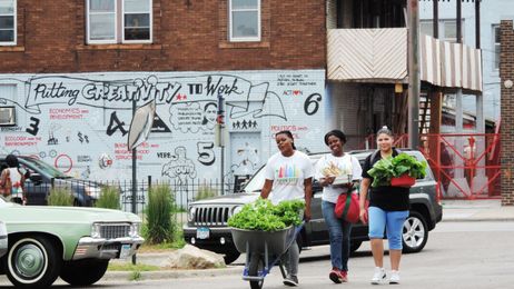 Are Urban Farms More Hype than Hope? Report Raises Questions