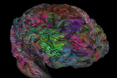 Scientists map brain’s thesaurus to help decode inner thoughts