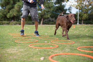 Creative Ideas That Inspire