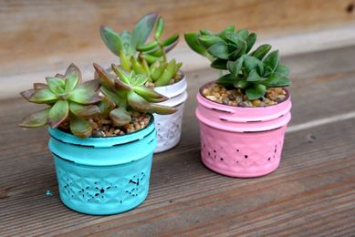 Painting Mason Jars Using Junk Gypsy™ Paint