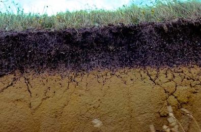 Cool Ways to Access Soil Information