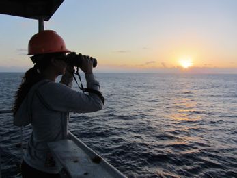 Sound oceans: Keeping marine mammals safe