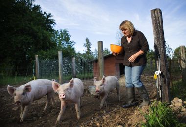 Her heart is in the farm, but financial realities loom