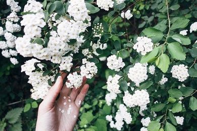 7 Penny Pinching Landscaping Tips