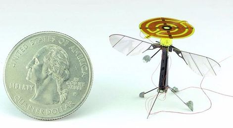 Bee-inspired robot uses static electricity to land anywhere