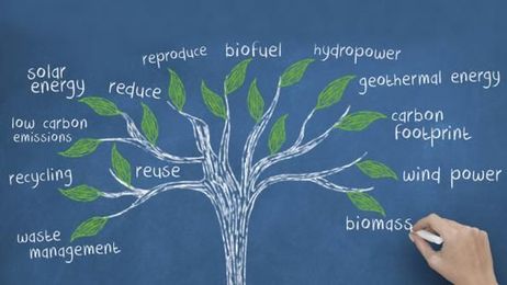 A Look at International Waste and Recycling Trends and Challenges