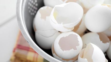 Don't toss those eggshells — they can have a useful life after breakfast