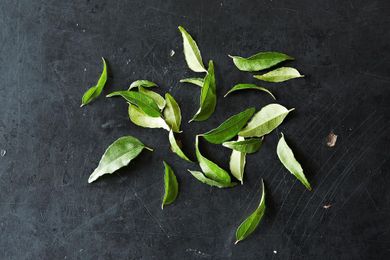 Madhur Jaffrey Told Me to Use My Curry Leaves, Pronto