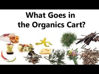 What Goes in the Organics Cart?
