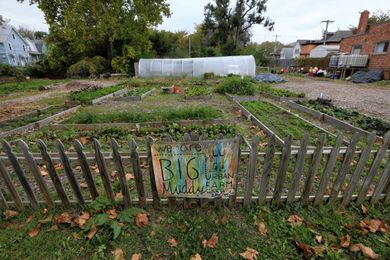 Tips And Trends From Top Gardeners