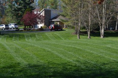 7 Things To Know About Watering Your Lawn