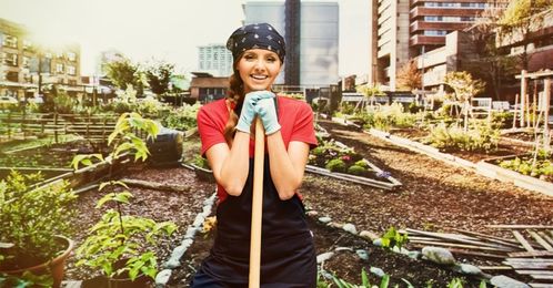 DIY Pest Control Tips To Help Your Organic Garden Grow
