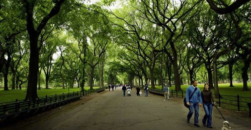 Why the Grass Is Greener in Some U.S. Park Systems
