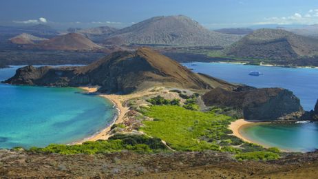 Wind turbines are powering nature’s paradise (and haven’t killed a single bird)