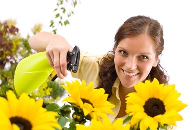13 Things Florists Never Tell You