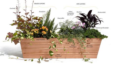 How to Build—and Maintain—the Perfect Window Box