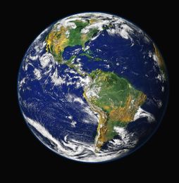 Become a B Corp and Change the World