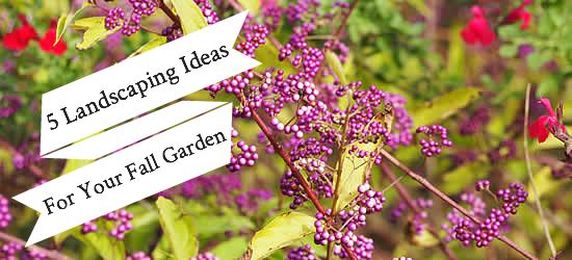 5 More Landscaping Ideas to Create a Fabulous Fall Yard