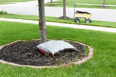 Four Signs Your Backyard Needs Lawn Care Services