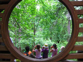 25 Fun Summer Things to Do With Kids for Free (or Less Than )