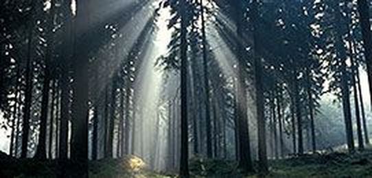 This 88-year-old Phoenix woman chased her dreams and caught them