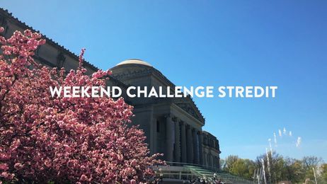 Weekend Challenge: put your stray clips to use