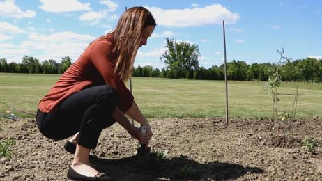 Chiropractor gives gardeners tips to avoid aches and pains