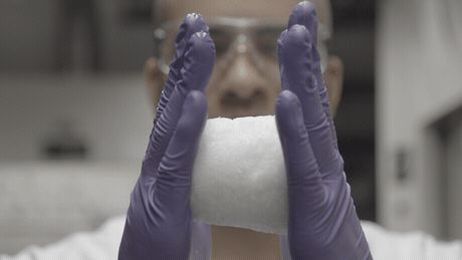 This Lab Is Making the Plastics of the Future — From Bacteria