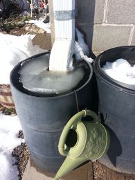 Maintaining Your Rain Barrel