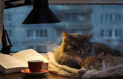 7 Mistakes You'll Inevitably Make in Your First Apartment