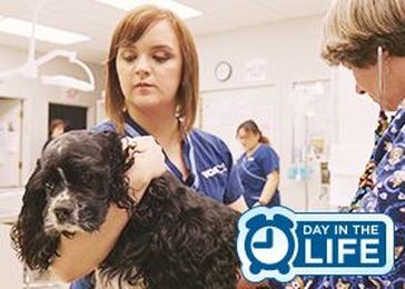 A Day in the Life of a Veterinary Technician