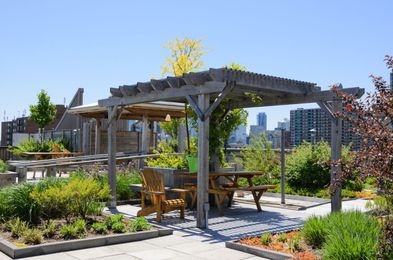 Eco-Friendly Gardening Tips for Modern Homes