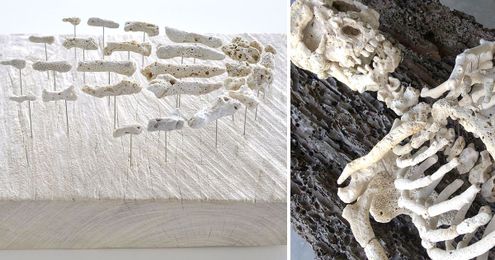 Human Skeletons Assembled with Found Coral by Gregory Halili