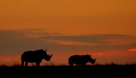 8 ways a trip to Cambridge, OH will surprise you