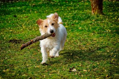 The story of a man who did not feel well