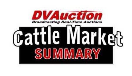 » Cattle Market Summary: Wow! What a Week