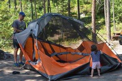 Summertime, and the forest is easy…10 great ways to spend your day 