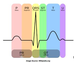 Will Understanding EKG Blocks Help Your Nursing Career?