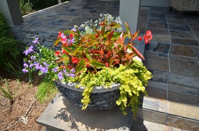 Betty Montgomery: Thriller, spiller, filler: Adding color to your garden